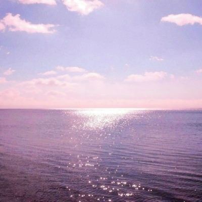 灵宠新大陆官方版(暂未上线)v1.0.0 安卓最新版